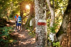 Baita Passo Feudo | Escursioni